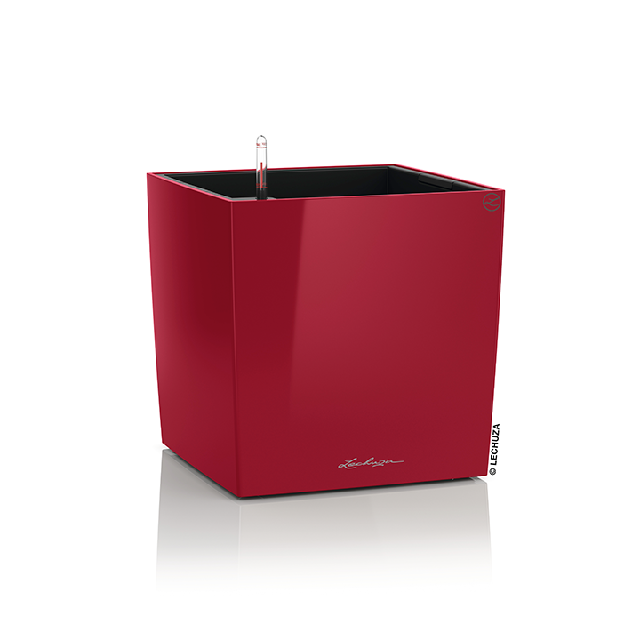 Cubo 40